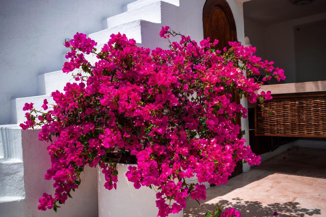 Hotel Aguamarina Boutique (Adults Only) Картахена Экстерьер фото